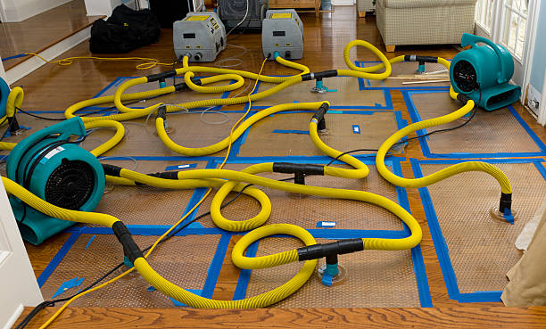 Professional Crawl Space Water Removal technician working in Hico, TX